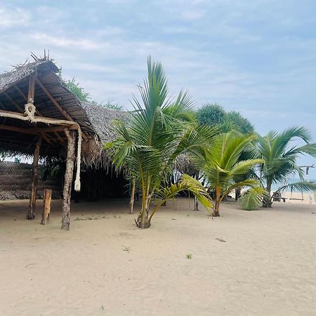 Surfing Beach Nilaveli Triquinimale Exterior foto