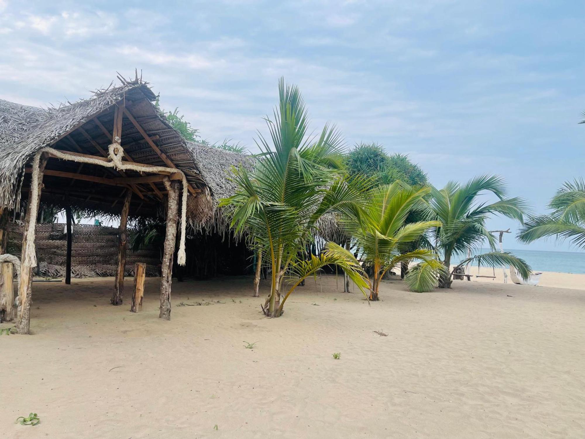 Surfing Beach Nilaveli Triquinimale Exterior foto
